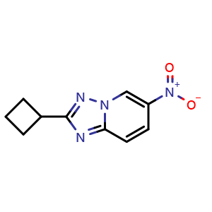 Chemical structure of 2-cyclobutyl-6-nitro-[1,2,4]triazolo[1,5-a]pyridine , CAS 1823630-58-5, AChemBlock L21190