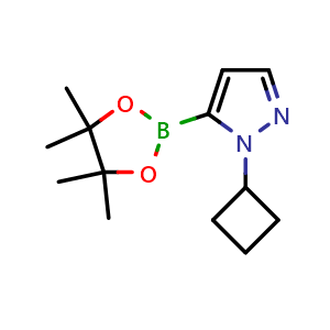 Chemical structure of 1-Cyclobutyl-5-(tetramethyl-1,3,2-dioxaborolan-2-yl)-1H-pyrazole , CAS 2227297-73-4, AChemBlock L21752