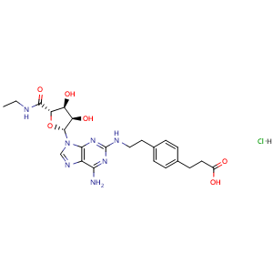 Chemical structure of CGS21680 Hydrochloride , CAS 124431-80-7, AChemBlock M15446