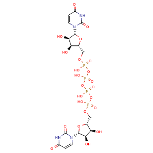 Chemical structure of Diquafosol , CAS 59985-21-6, AChemBlock M15661