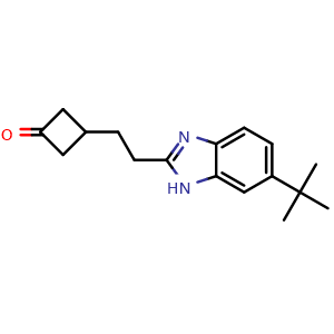 Chemical structure of 3-(2-(6-(tert-Butyl)-1H-benzo[d]imidazol-2-yl)ethyl)cyclobutanone , CAS 1571060-90-6, AChemBlock M15782