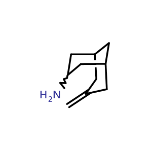 7-Methylenebicyclo[3.3.1]nonan-3-amine