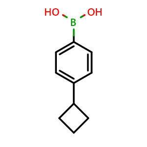 Chemical structure of (4-Cyclobutylphenyl)boronic acid , CAS 845797-74-2, AChemBlock N25844