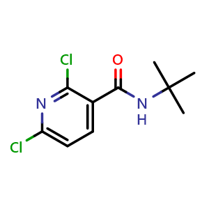 Chemical structure of N-(tert-butyl)-2,6-dichloronicotinamide , CAS 1334612-24-6, AChemBlock N26276