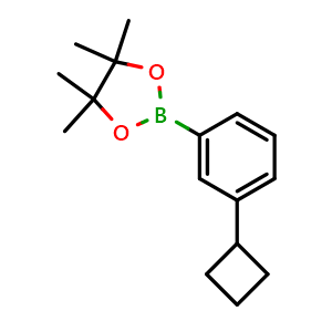 Chemical structure of 2-(3-cyclobutylphenyl)-4,4,5,5-tetramethyl-1,3,2-dioxaborolane , CAS 2121514-70-1, AChemBlock N26712