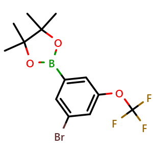Chemical structure of 2-(3-bromo-5-(trifluoromethoxy)phenyl)-4,4,5,5-tetramethyl-1,3,2-dioxaborolane , CAS 1799485-18-9, AChemBlock N27394