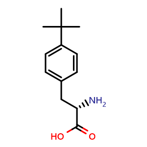 Chemical structure of 4-tert-Butyl-L-phenylalanine , CAS 82372-74-5, AChemBlock O28116