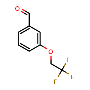 Chemical structure of 3-(2,2,2-Trifluoroethoxy)-benzaldehyde , CAS 155908-58-0, AChemBlock O28511