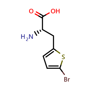 Chemical structure of 3-(5-Bromothien-2-yl)-L-alanine , CAS 154593-58-5, AChemBlock O28860