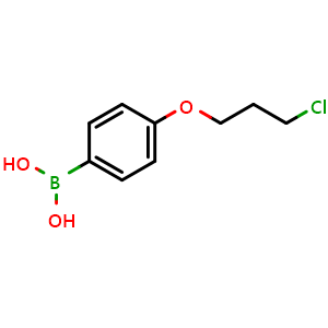 Chemical structure of (4-(3-Chloropropoxy)phenyl)boronic acid , CAS 1182283-83-5, AChemBlock O34134