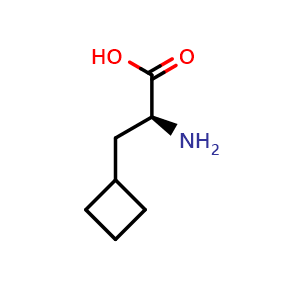 Chemical structure of L-Cyclobutylalanine , CAS 1201593-65-8, AChemBlock P34724