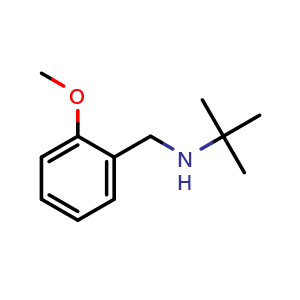 N-(2-Methoxyphenylmethyl)tert-butylamine