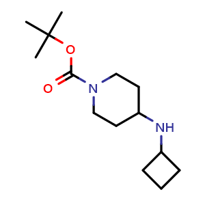 Chemical structure of 1-Boc-4-(cyclobutylamino)-piperidine , CAS 812690-41-8, AChemBlock P35951