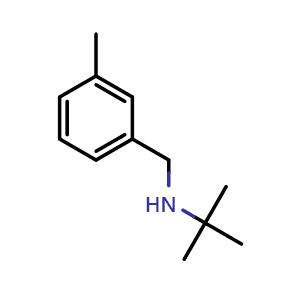 Chemical structure of N-(3-Methylphenylmethyl)tert-butylamine , CAS 356530-61-5, AChemBlock P38576