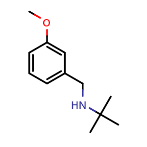 N-(3-Methoxyphenylmethyl)tert-butylamine