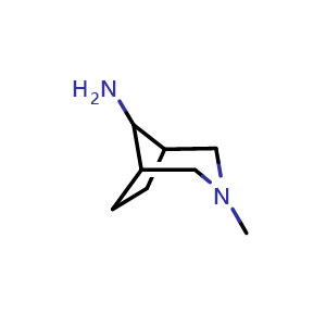 Chemical structure of 3-methyl-3-aza-bicyclo[3.2.1]oct-8-ylamine , CAS 108640-12-6, AChemBlock P44276