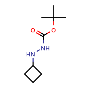 N'-cyclobutyl(tert-butoxy)carbohydrazide