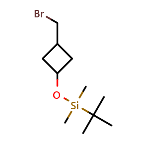 Chemical structure of [3-(bromomethyl)cyclobutoxy](tert-butyl)dimethylsilane , CAS 2169182-97-0, AChemBlock P46012