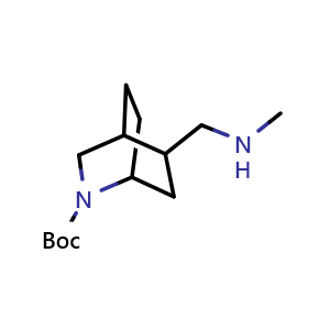 Chemical structure of tert-butyl 5-[(methylamino)methyl]-2-azabicyclo[2.2.2]octane-2-carboxylate , CAS 2169097-05-4, AChemBlock P46019