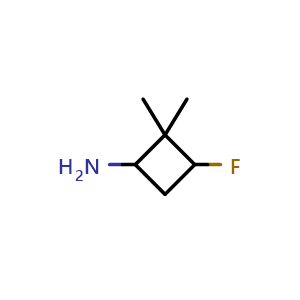 3-fluoro-2,2-dimethylcyclobutan-1-amine