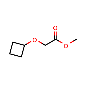 Chemical structure of methyl 2-cyclobutoxyacetate , CAS 1247751-17-2, AChemBlock P49175