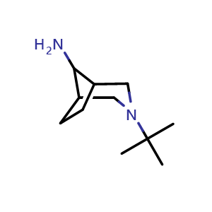 Chemical structure of 3-tert-butyl-3-azabicyclo[3.2.1]octan-8-amine , CAS 1171560-61-4, AChemBlock P49674