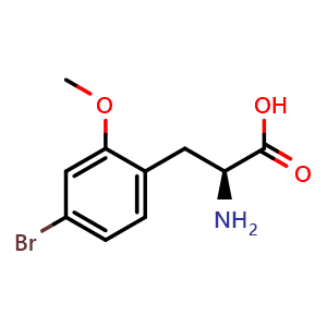 Chemical structure of (S)-2-amino-3-(4-bromo-2-methoxyphenyl)propanoic acid , CAS 1213895-48-7, AChemBlock P51769