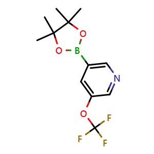 3-(4,4,5,5-tetramethyl-1,3,2-dioxaborolan-2-yl)-5-(trifluoromethoxy)pyridine