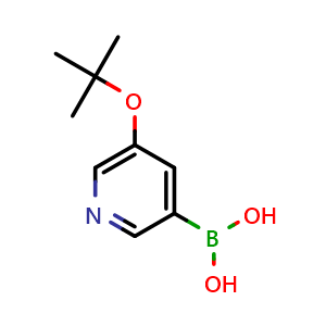 Chemical structure of (5-(tert-butoxy)pyridin-3-yl)boronic acid , CAS 2096330-88-8, AChemBlock Q56258