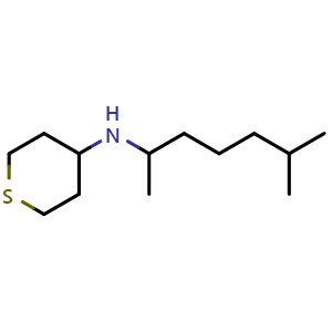 Chemical structure of N-(6-methylheptan-2-yl)tetrahydro-2H-thiopyran-4-amine , CAS 1153349-35-9, AChemBlock Q57906