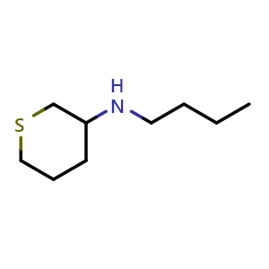 Chemical structure of N-Butyltetrahydro-2H-thiopyran-3-amine , CAS 1310134-72-5, AChemBlock Q57936