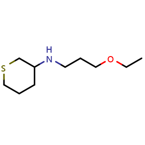 N-(3-ethoxypropyl)tetrahydro-2H-thiopyran-3-amine