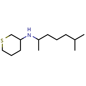 Chemical structure of N-(6-methylheptan-2-yl)tetrahydro-2H-thiopyran-3-amine , CAS 1342619-50-4, AChemBlock Q57944