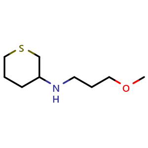 N-(3-methoxypropyl)tetrahydro-2H-thiopyran-3-amine
