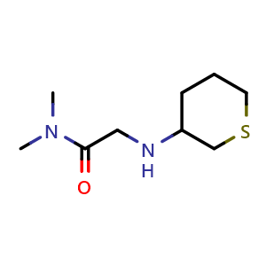 N,N-dimethyl-2-((tetrahydro-2H-thiopyran-3-yl)amino)acetamide