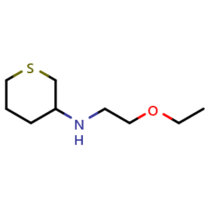 N-(2-ethoxyethyl)tetrahydro-2H-thiopyran-3-amine