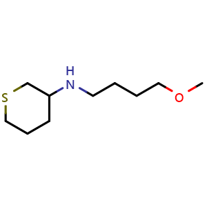 N-(4-methoxybutyl)tetrahydro-2H-thiopyran-3-amine