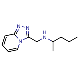 Chemical structure of N-([1,2,4]triazolo[4,3-a]pyridin-3-ylmethyl)pentan-2-amine , CAS 1042524-78-6, AChemBlock Q58275