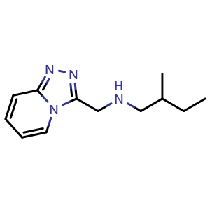 Chemical structure of N-([1,2,4]triazolo[4,3-a]pyridin-3-ylmethyl)-2-methylbutan-1-amine , CAS 1042565-20-7, AChemBlock Q58276