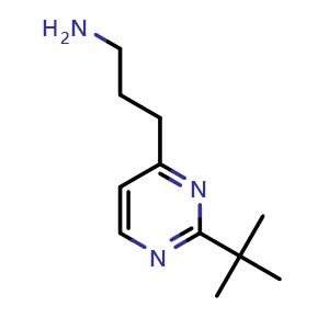 Chemical structure of 3-(2-(tert-butyl)pyrimidin-4-yl)propan-1-amine , CAS 1251088-05-7, AChemBlock Q58699