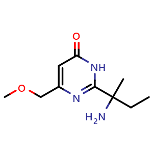 2-(2-aminobutan-2-yl)-6-(methoxymethyl)pyrimidin-4(3H)-one