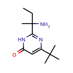 2-(2-aminobutan-2-yl)-6-(tert-butyl)pyrimidin-4(3H)-one