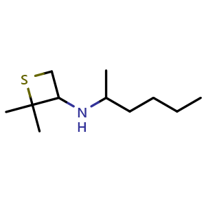 N-(hexan-2-yl)-2,2-dimethylthietan-3-amine