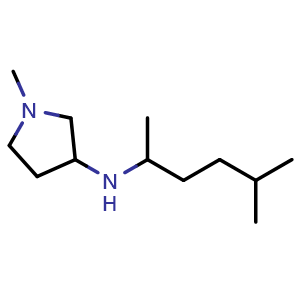 1-methyl-N-(5-methylhexan-2-yl)pyrrolidin-3-amine