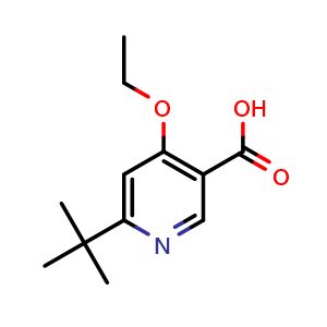 Chemical structure of 6-(tert-butyl)-4-ethoxynicotinic acid , CAS 1143519-21-4, AChemBlock Q60050