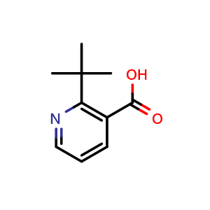 2-(tert-butyl)nicotinic acid