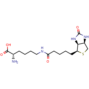 Chemical structure of N6-(5-((3aS,4S,6aR)-2-oxohexahydro-1H-thieno[3,4-d]imidazol-4-yl)pentanoyl)-L-lysine , CAS 576-19-2, AChemBlock Q61049
