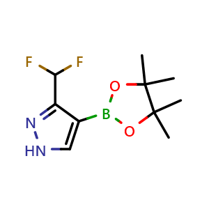 Chemical structure of 3-(difluoromethyl)-4-(4,4,5,5-tetramethyl-1,3,2-dioxaborolan-2-yl)-1H-pyrazole , CAS 1842394-21-1, AChemBlock Q61532