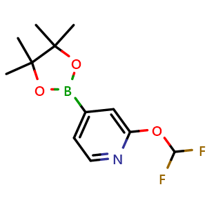 Chemical structure of 2-(difluoromethoxy)-4-(4,4,5,5-tetramethyl-1,3,2-dioxaborolan-2-yl)pyridine , CAS 1628116-87-9, AChemBlock Q62509