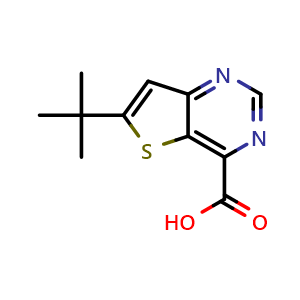 Chemical structure of 6-(tert-butyl)thieno[3,2-d]pyrimidine-4-carboxylic acid , CAS 2306264-03-7, AChemBlock Q64834